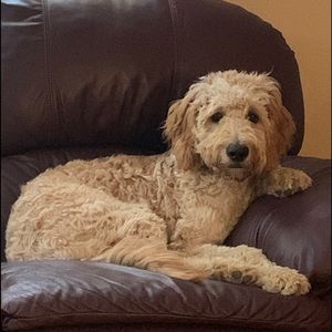 Meet your Posher, Michele